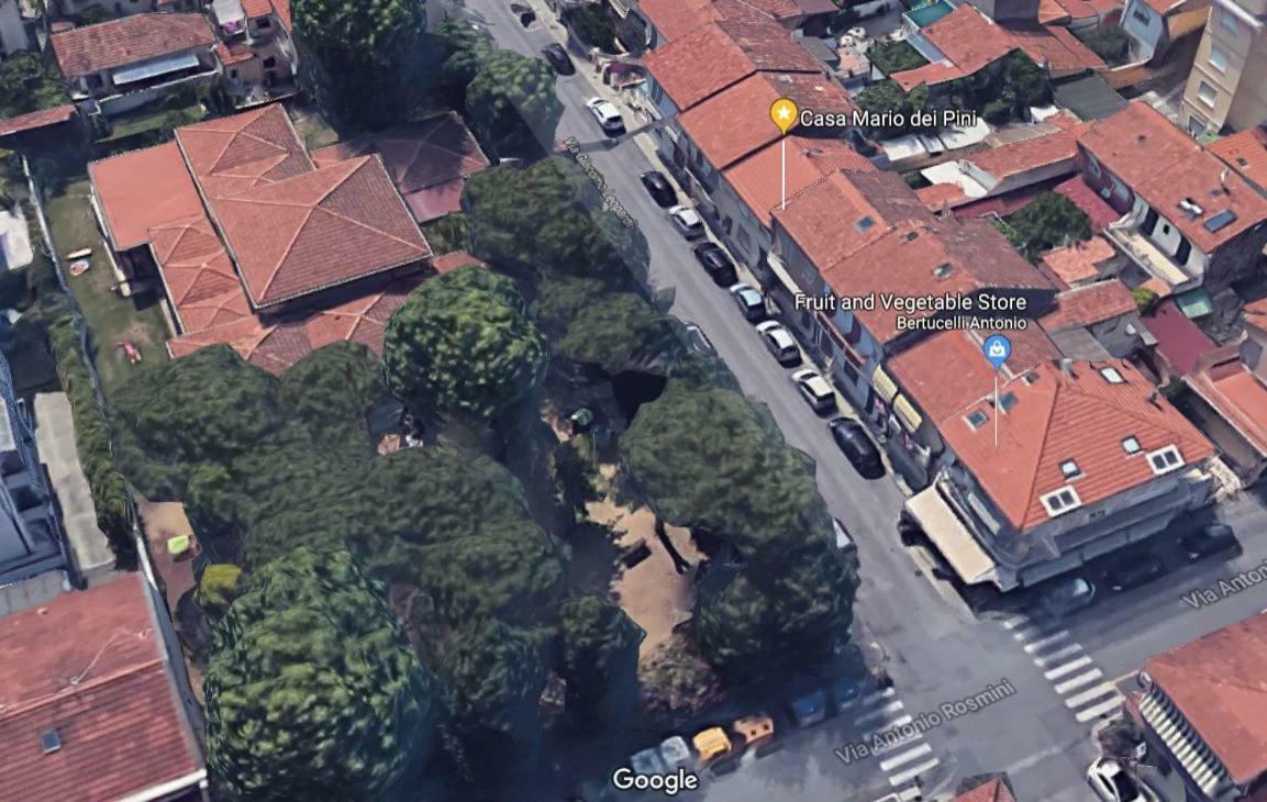 Вілла Casa Mario Dei Pini В'яреджо Екстер'єр фото